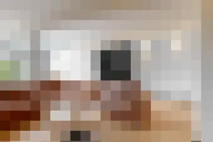 De Slingerkamp 4 Nieuwkoop thumbnail 9