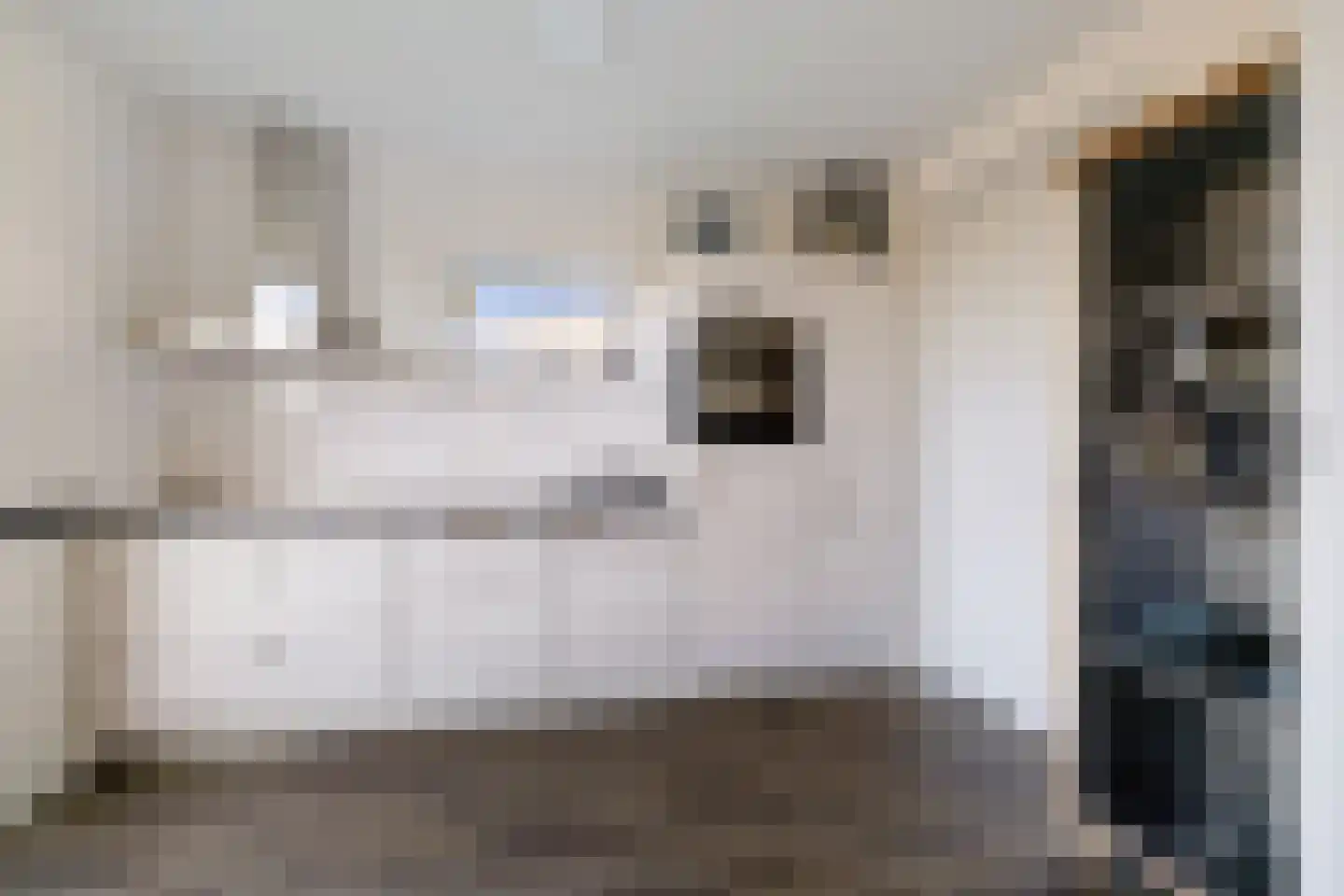 De Slinke 16 Burdaard thumbnail 11