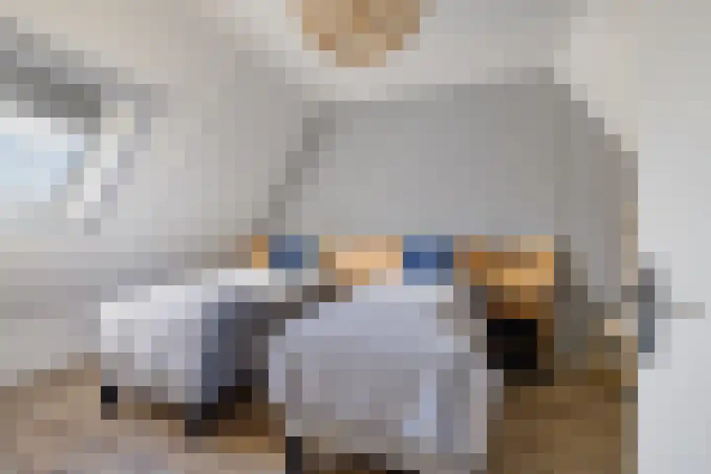 De Slinke 16 Burdaard thumbnail 14