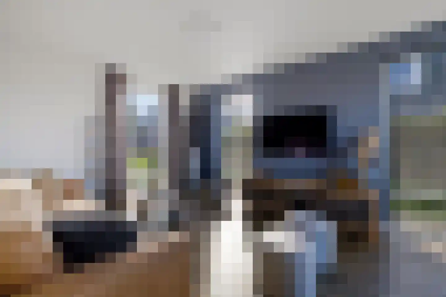 De Slinke 16 Burdaard thumbnail 7