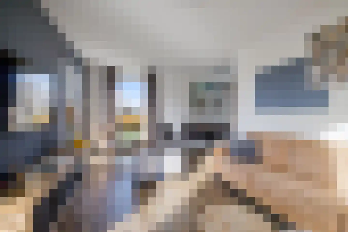 De Slinke 16 Burdaard thumbnail 8