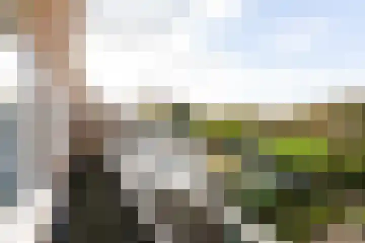 De Slinken 12 Bolsward thumbnail 20
