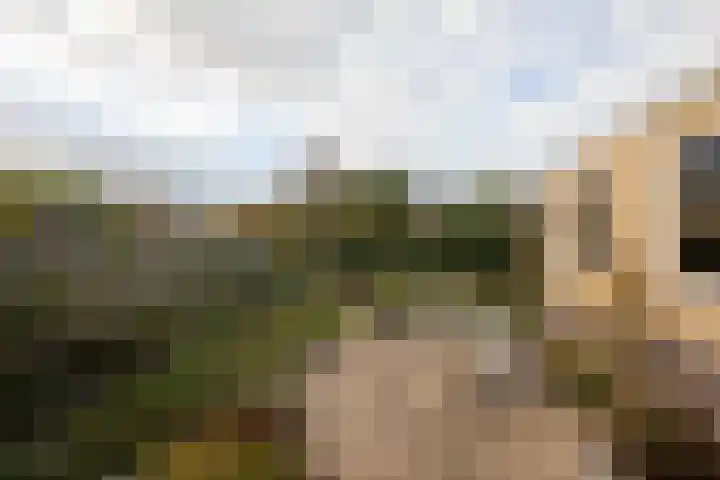 De Slinken 12 Bolsward thumbnail 33
