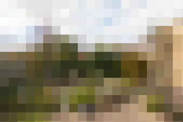 De Slinken 12 Bolsward thumbnail 34