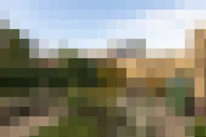 De Slinken 12 Bolsward thumbnail 35