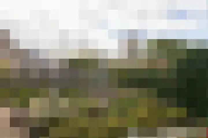 De Slinken 12 Bolsward thumbnail 36