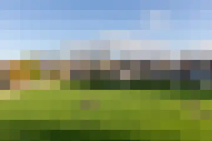 De Slinken 12 Bolsward thumbnail 4