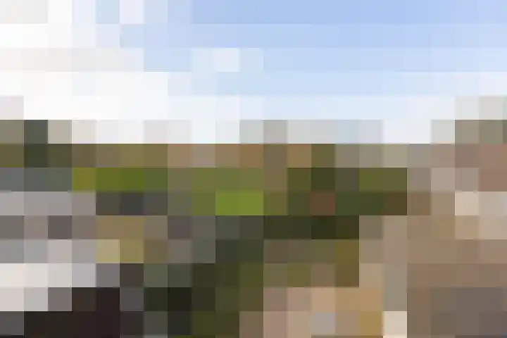 De Slinken 12 Bolsward thumbnail 40