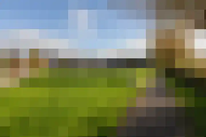 De Slinken 12 Bolsward thumbnail 45