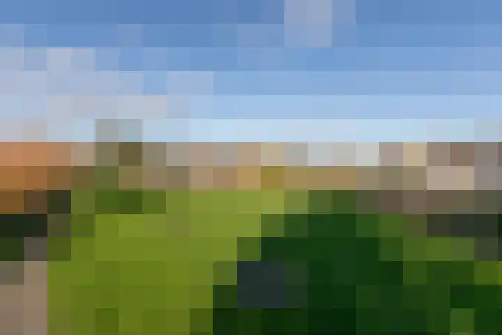 De Slinken 12 Bolsward thumbnail 46