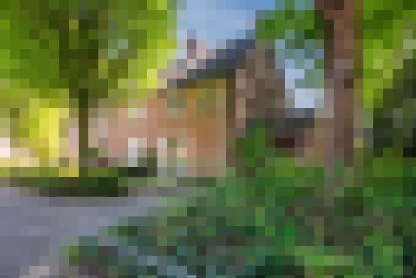 de Slotenmaker 23 Heeze thumbnail 5