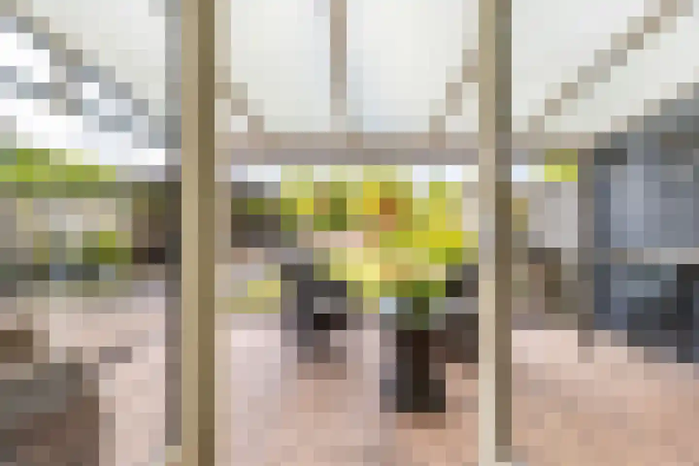 De Slufter 112 Hoofddorp thumbnail 22