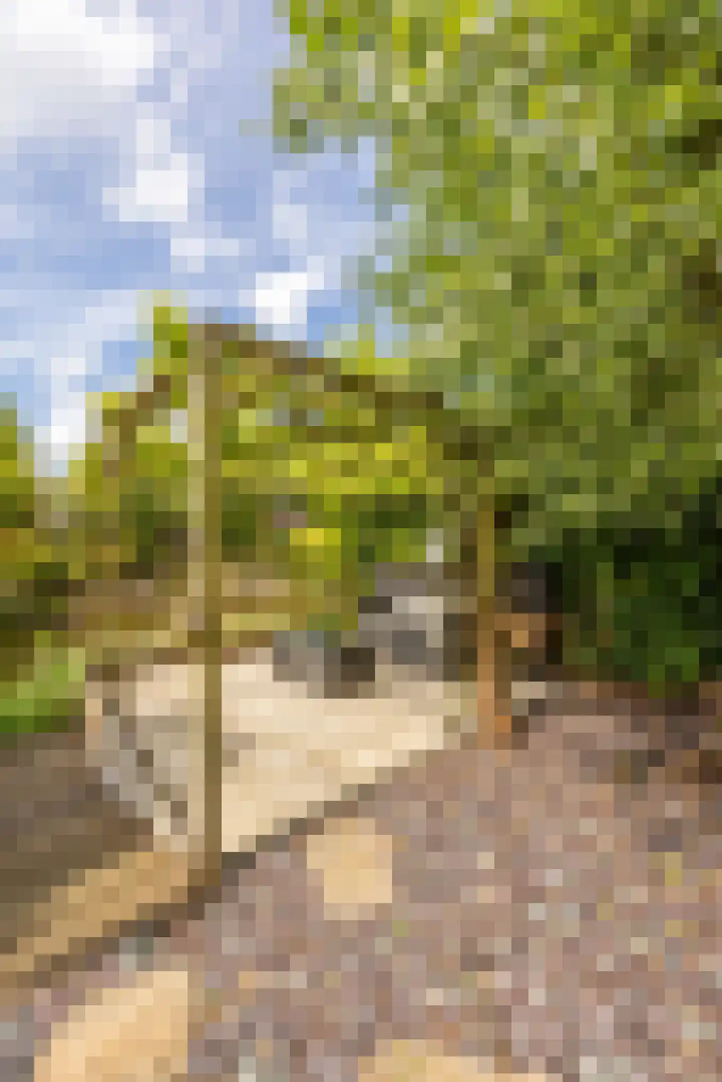 De Slufter 112 Hoofddorp thumbnail 28
