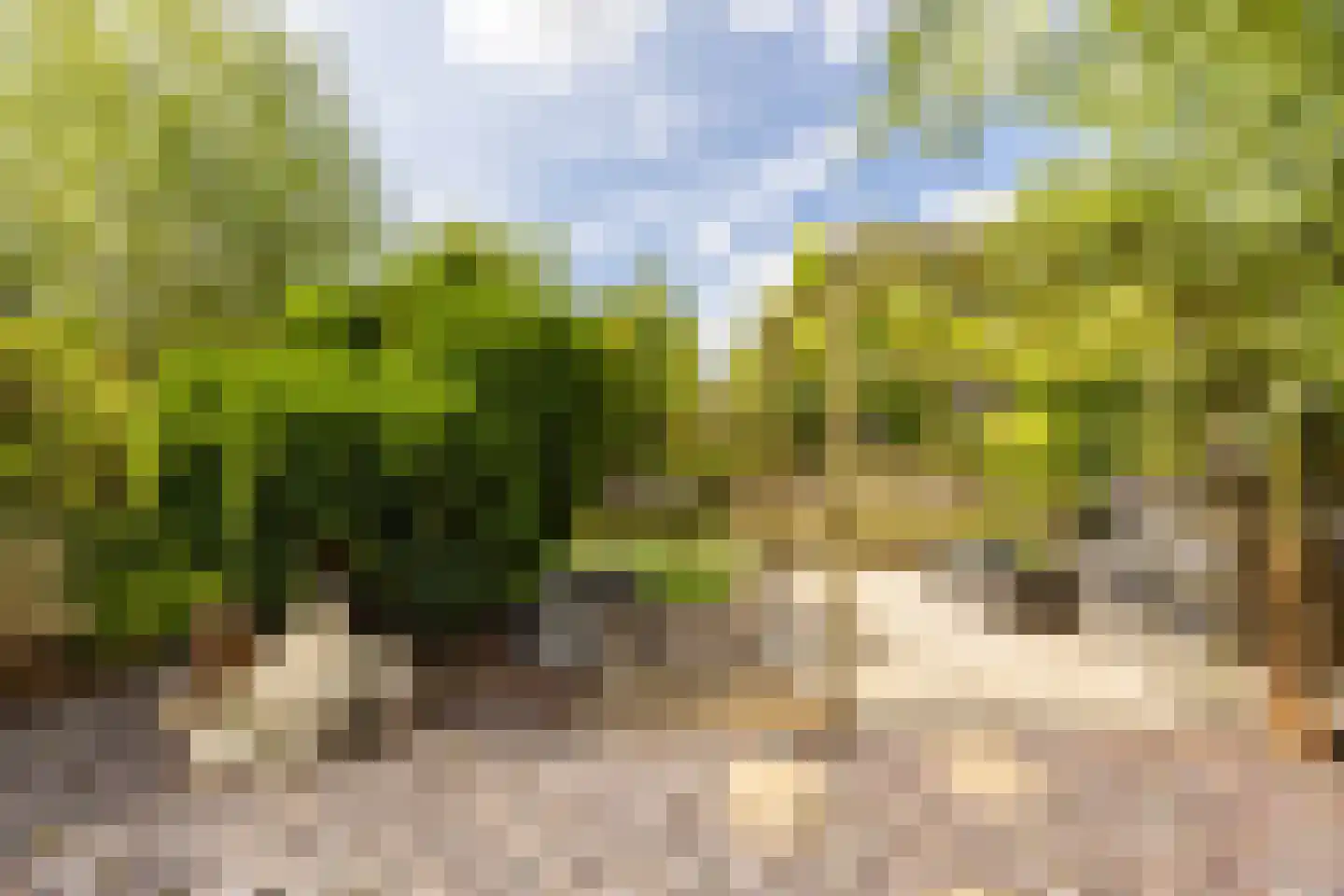 De Slufter 112 Hoofddorp thumbnail 29