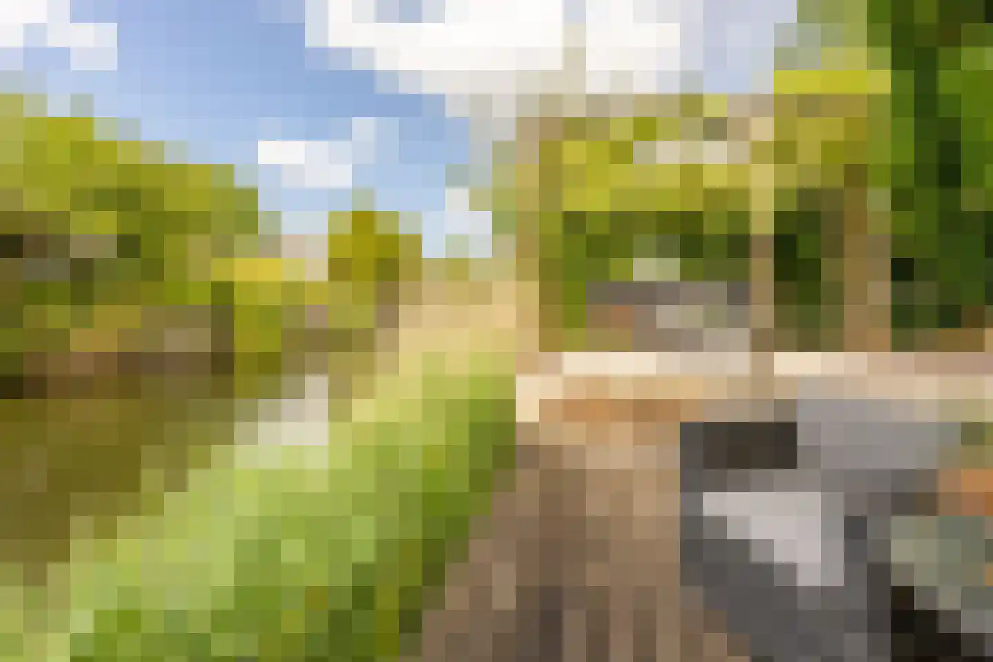 De Slufter 112 Hoofddorp thumbnail 30