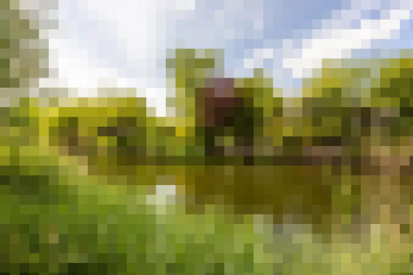 De Slufter 112 Hoofddorp thumbnail 31