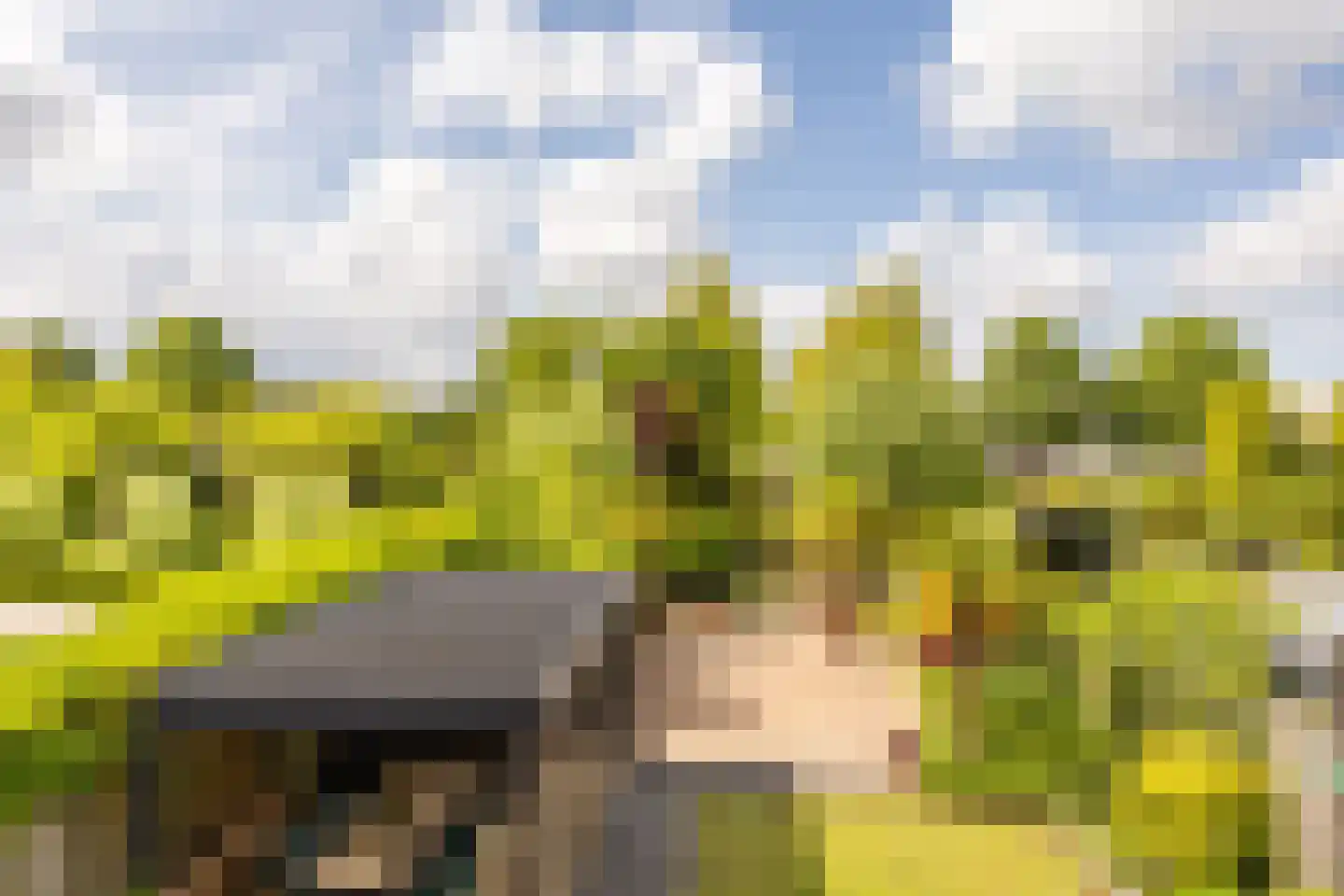 De Slufter 112 Hoofddorp thumbnail 40