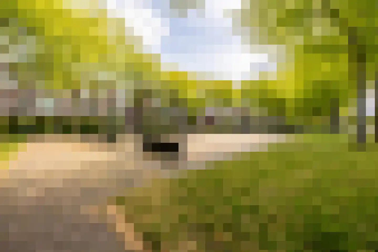 De Slufter 112 Hoofddorp thumbnail 50