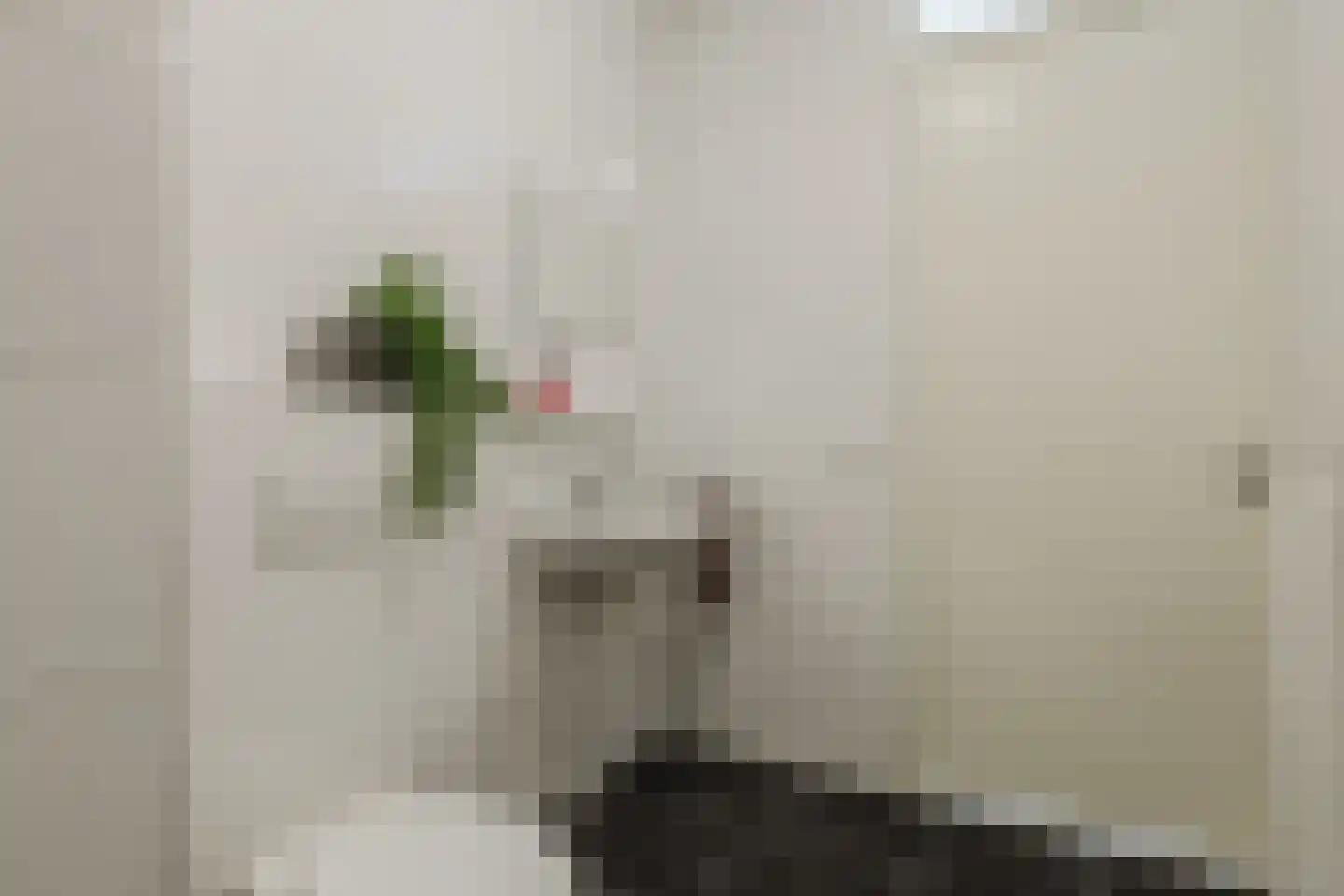 De Slufter 12 Hoofddorp thumbnail 30