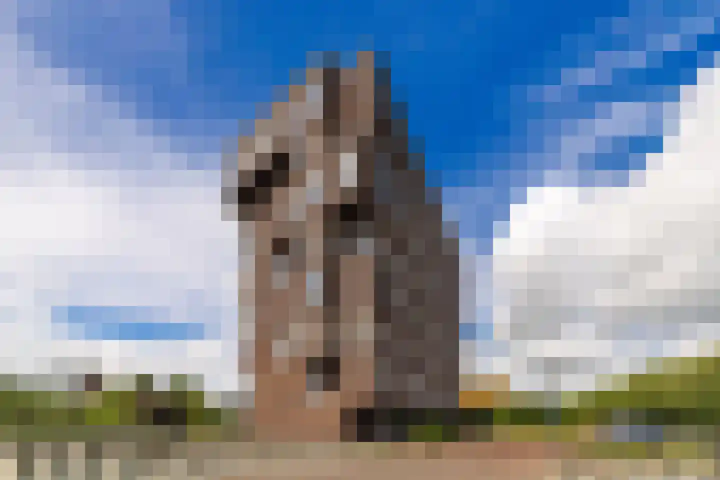De Slufter 12 Hoofddorp thumbnail 38
