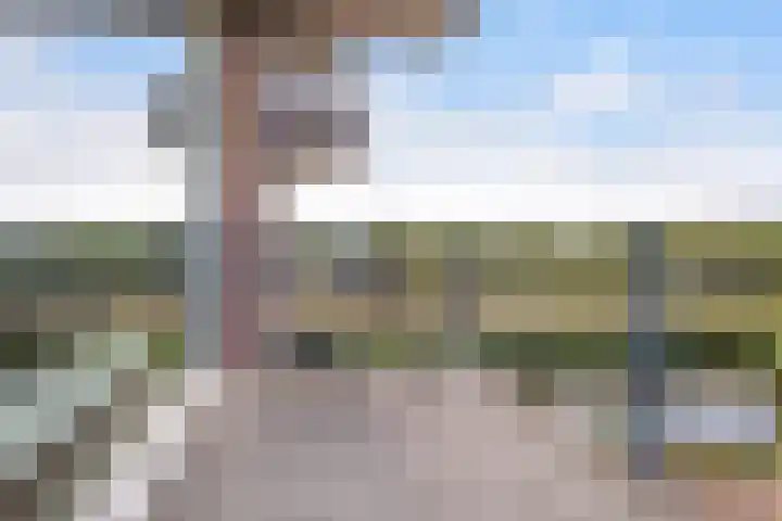 De Slufter 14 Hoofddorp thumbnail 23