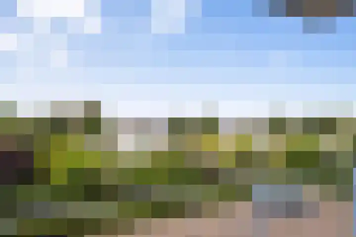De Slufter 14 Hoofddorp thumbnail 25