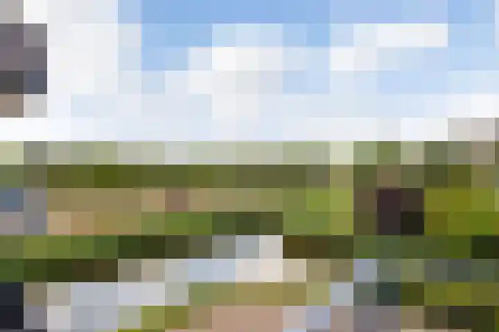 De Slufter 14 Hoofddorp thumbnail 26