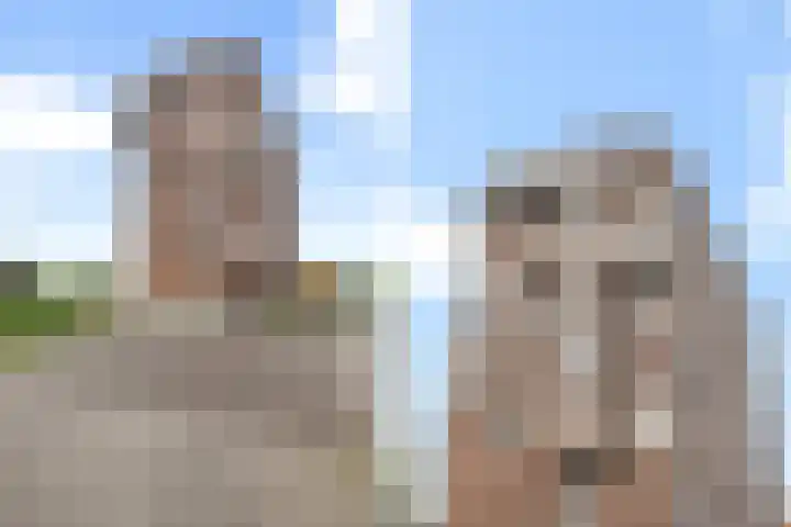 De Slufter 14 Hoofddorp thumbnail 4