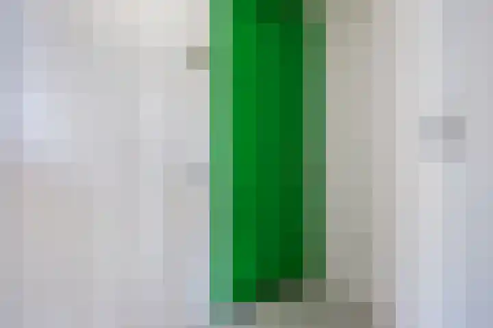 De Slufter 14 Hoofddorp thumbnail 6