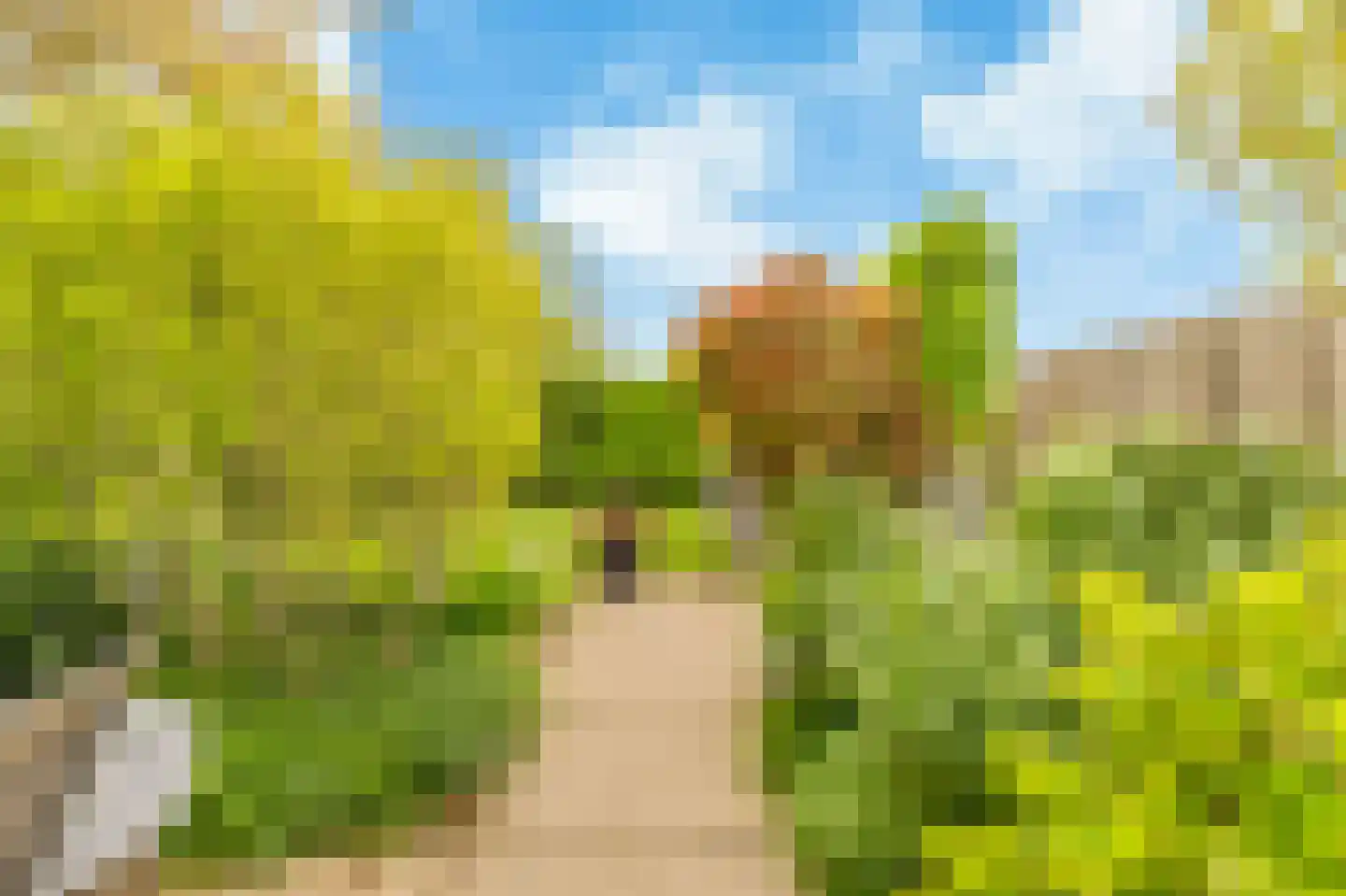 De Slufter 152 Hoofddorp thumbnail 32