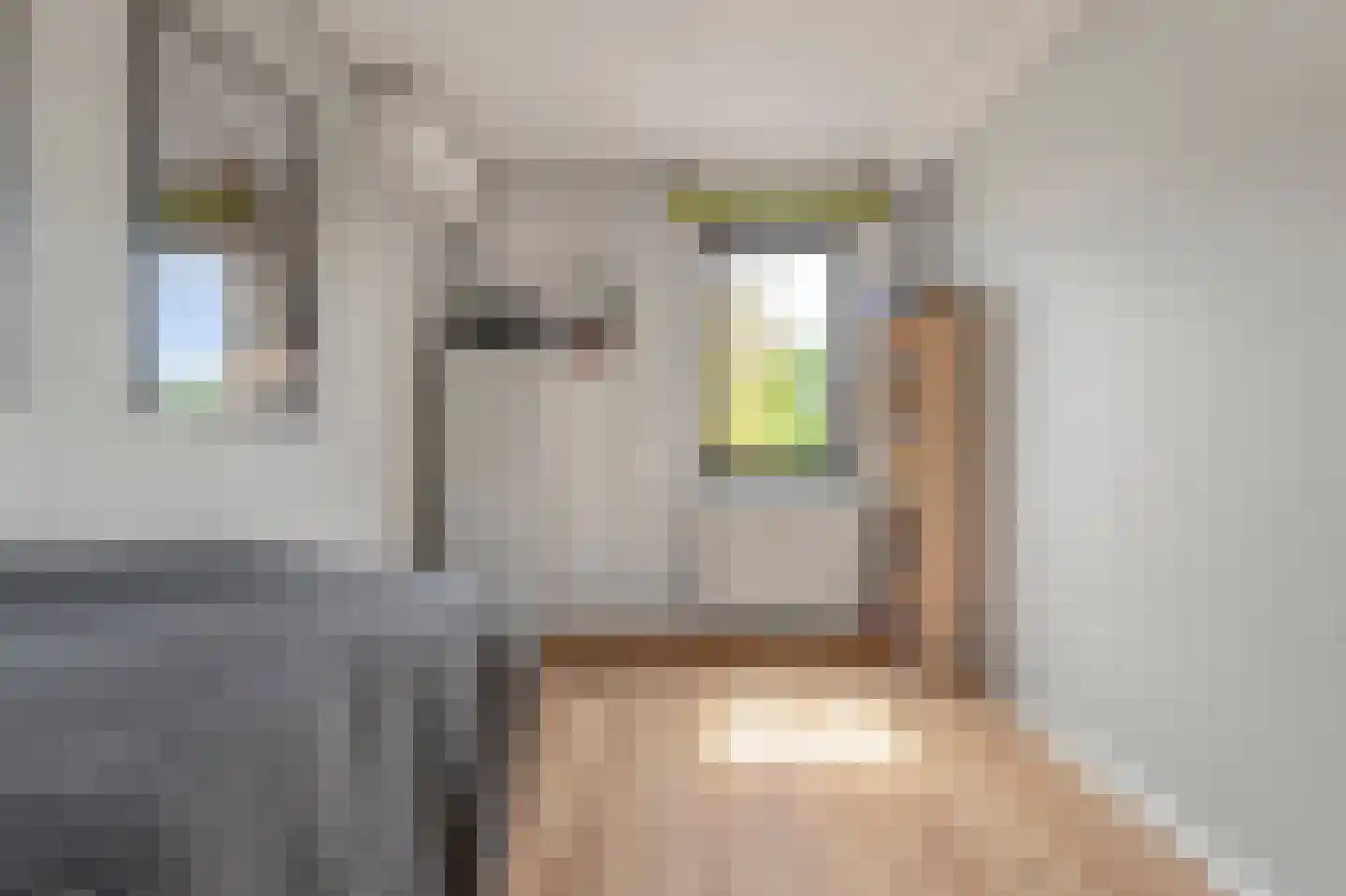 De Slufter 152 Hoofddorp thumbnail 40