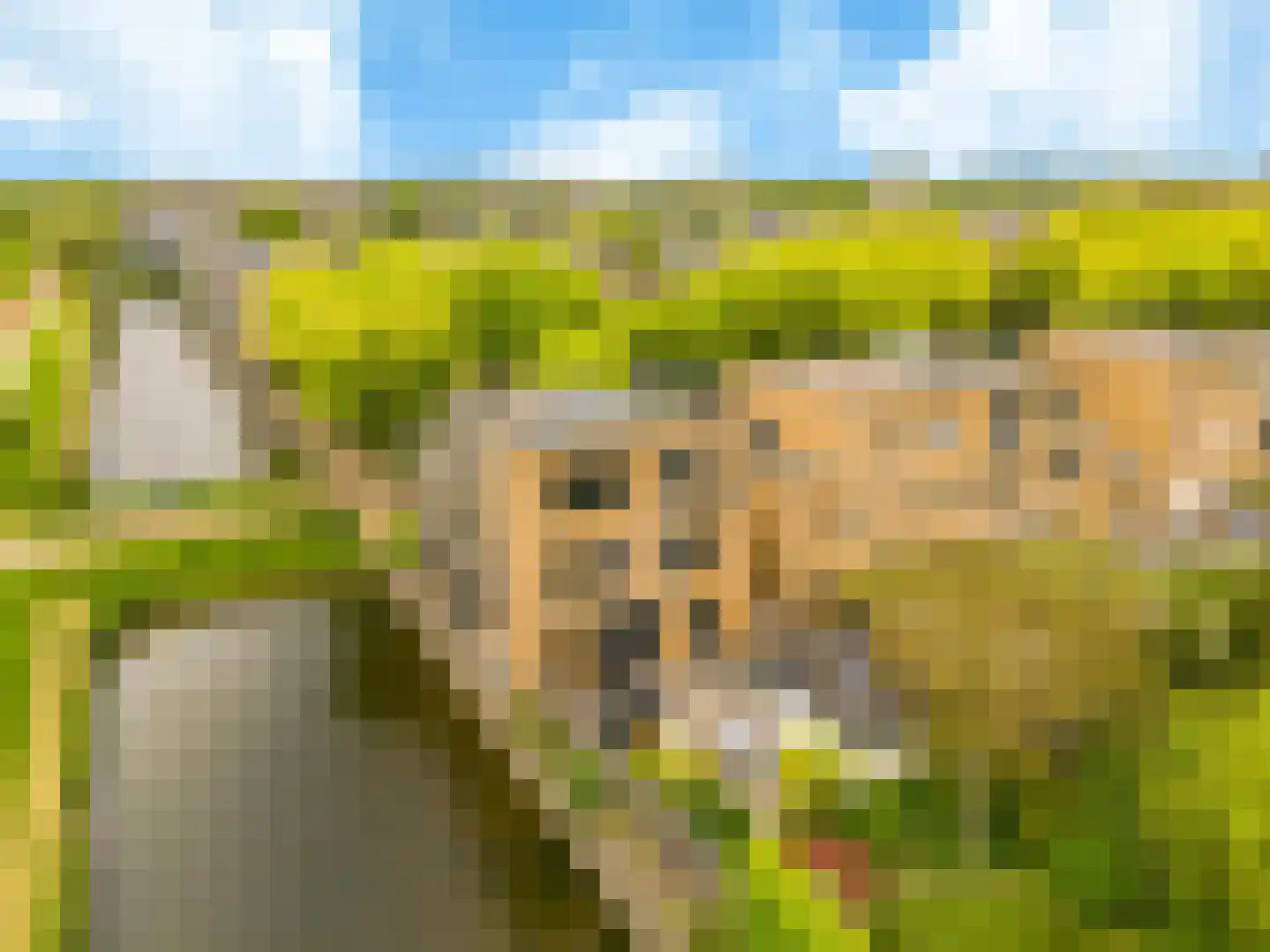De Slufter 152 Hoofddorp thumbnail 5