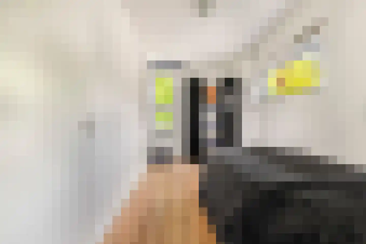 De Slufter 152 Hoofddorp thumbnail 53