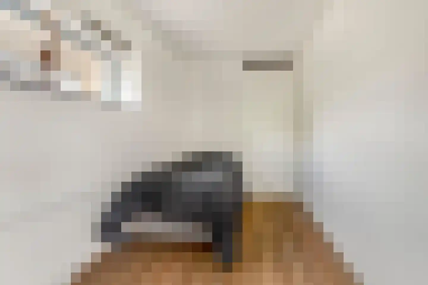 De Slufter 152 Hoofddorp thumbnail 54