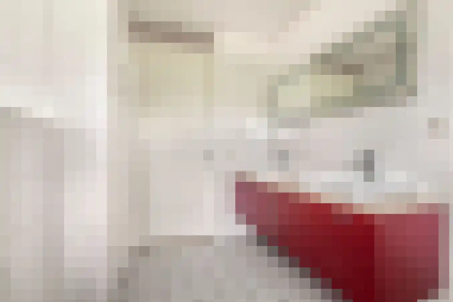 De Slufter 152 Hoofddorp thumbnail 7
