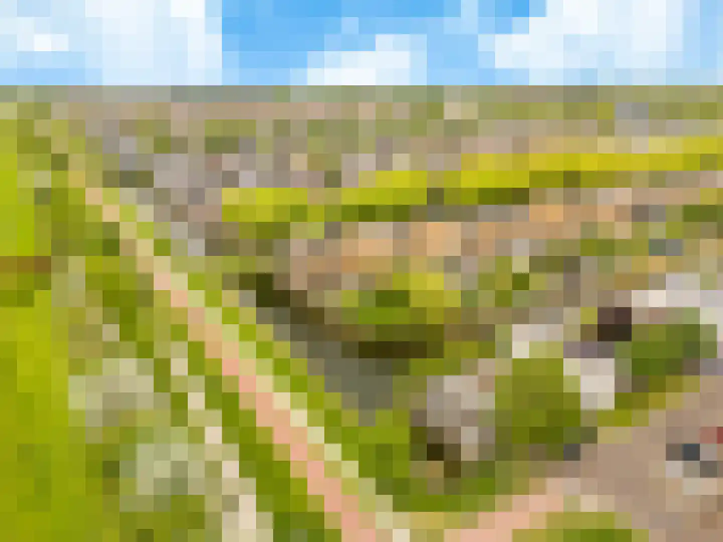 De Slufter 152 Hoofddorp thumbnail 70