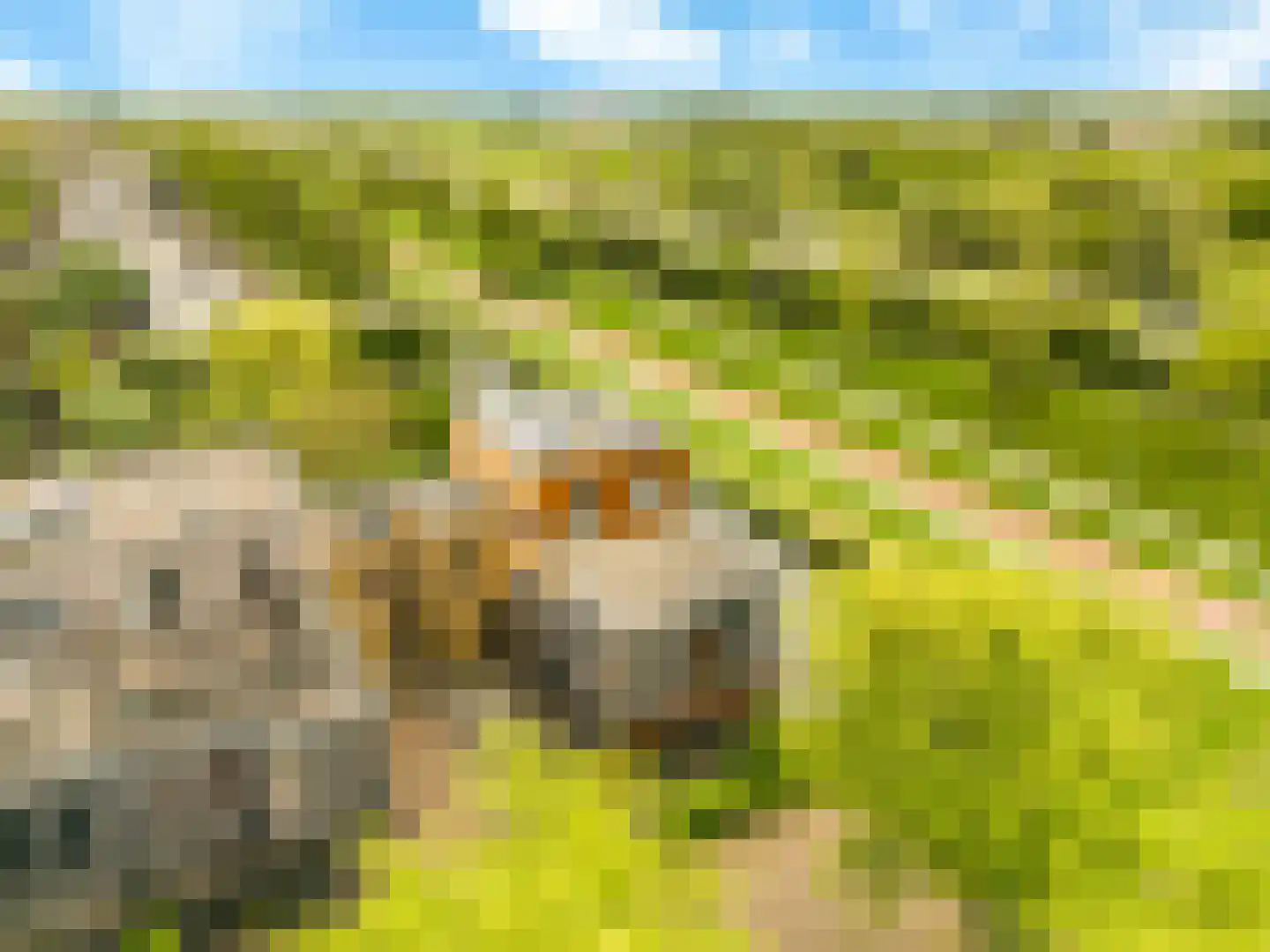 De Slufter 152 Hoofddorp thumbnail 8