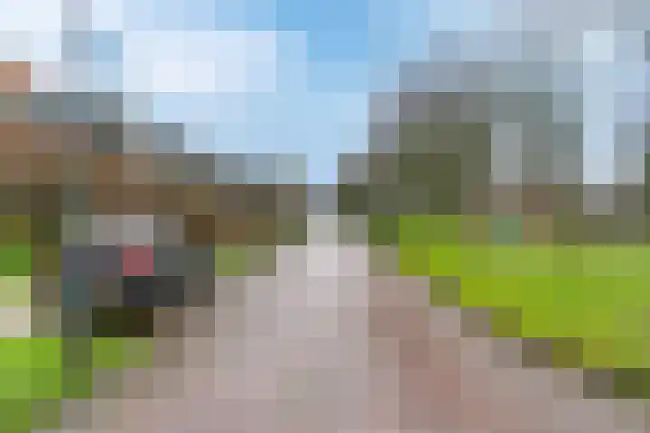 De Slufter 38 Hoofddorp thumbnail 11