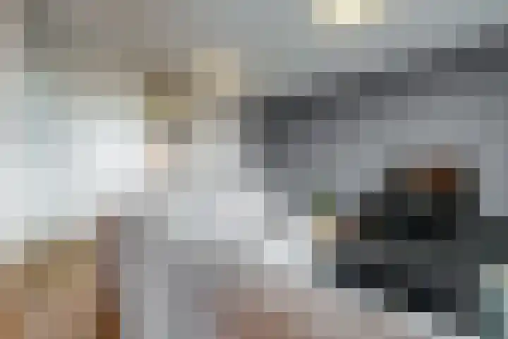 De Slufter 38 Hoofddorp thumbnail 16