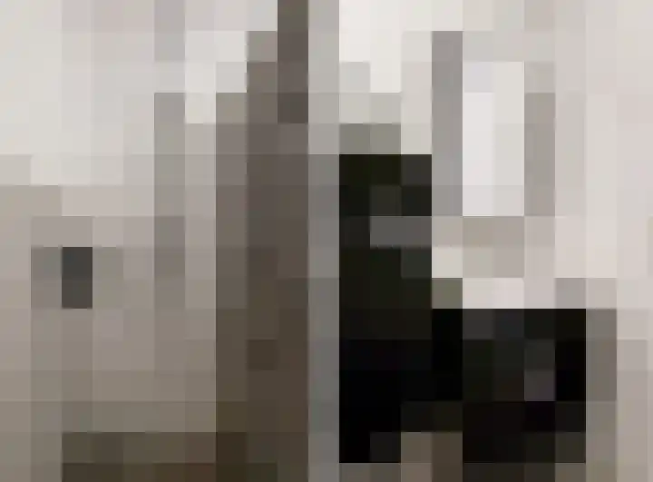 De Slufter 38 Hoofddorp thumbnail 22