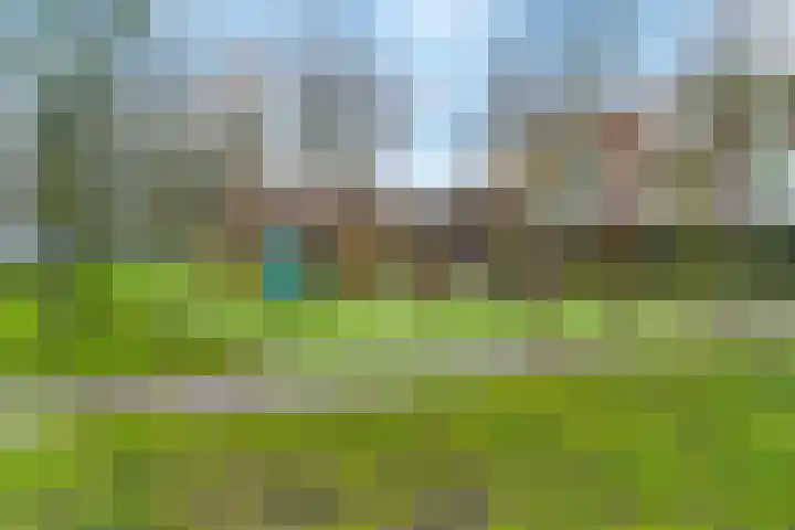 De Slufter 38 Hoofddorp thumbnail 27