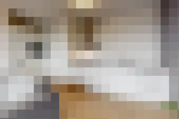De Slufter 38 Hoofddorp thumbnail 4