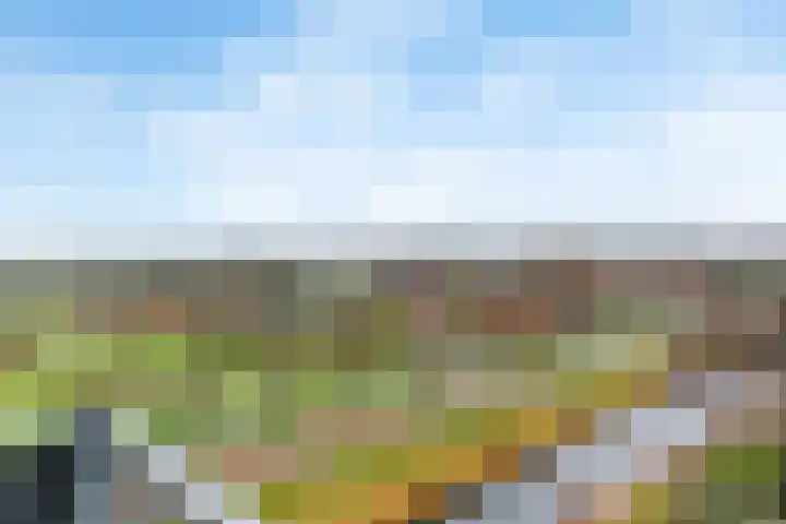 De Slufter 38 Hoofddorp thumbnail 5