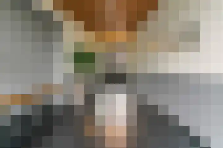 De Slufter 38 Hoofddorp thumbnail 8