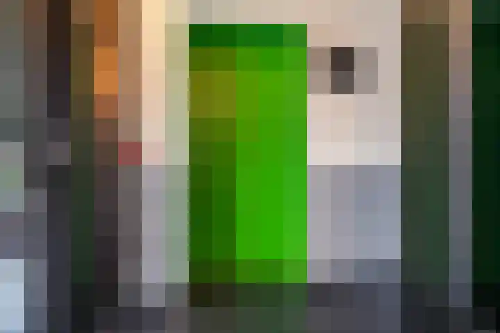 De Slufter 38 Hoofddorp thumbnail 9