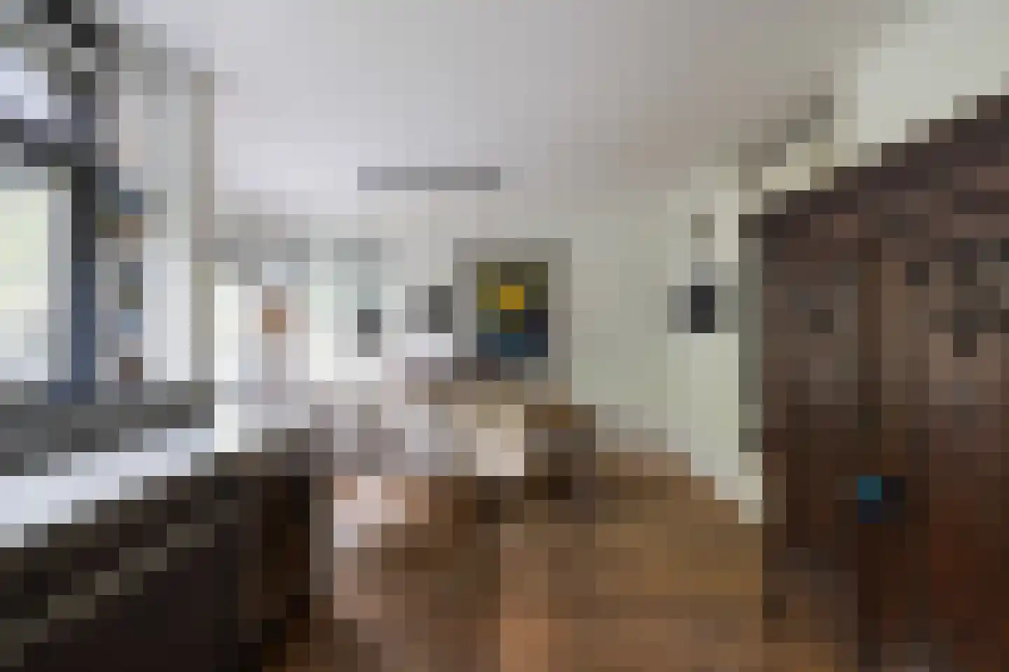 De Slufter 58 Hoofddorp thumbnail 11