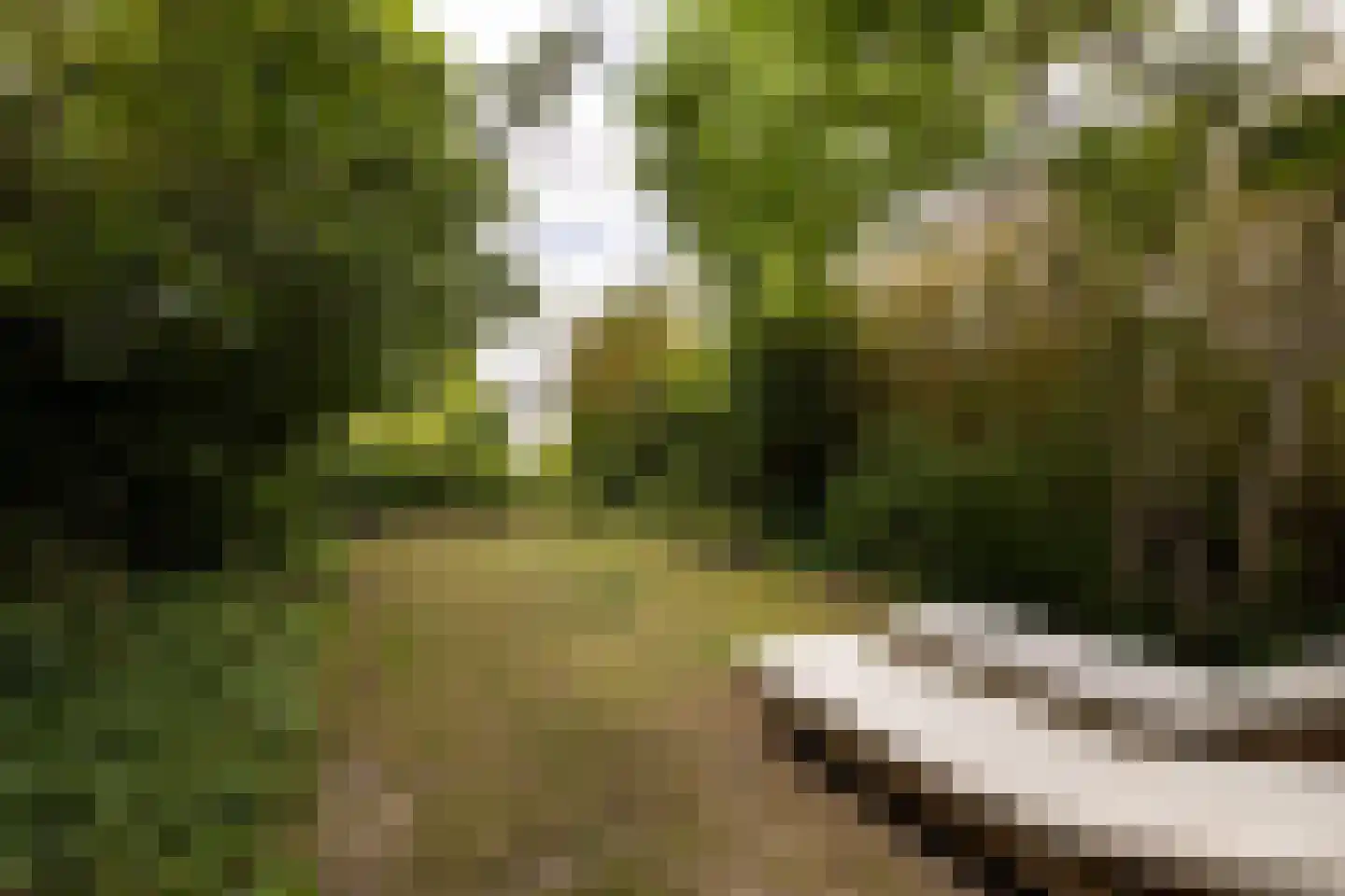 De Slufter 58 Hoofddorp thumbnail 15