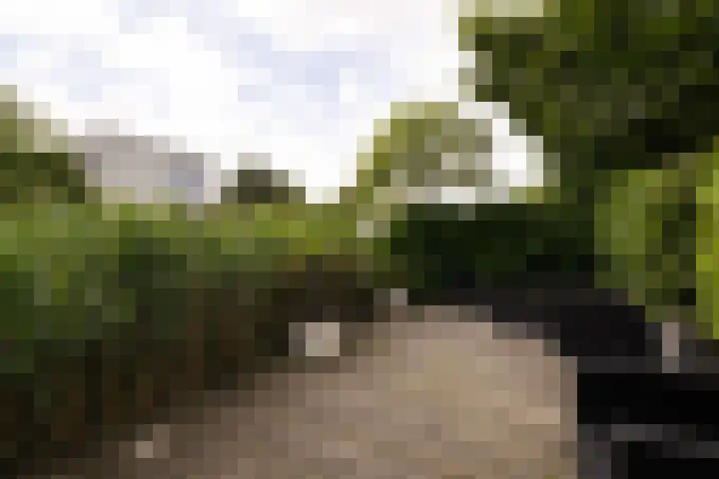 De Slufter 58 Hoofddorp thumbnail 16