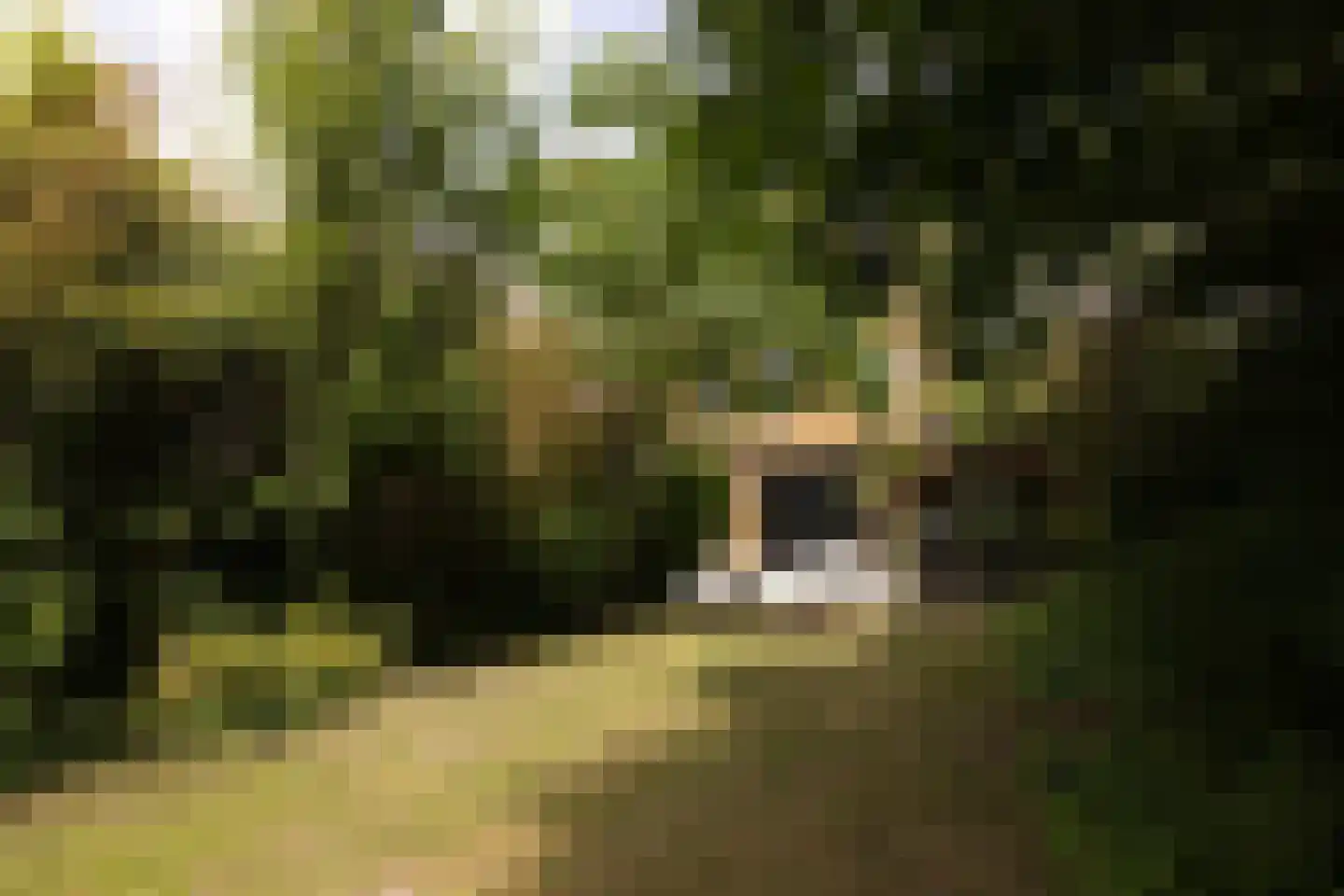De Slufter 58 Hoofddorp thumbnail 18