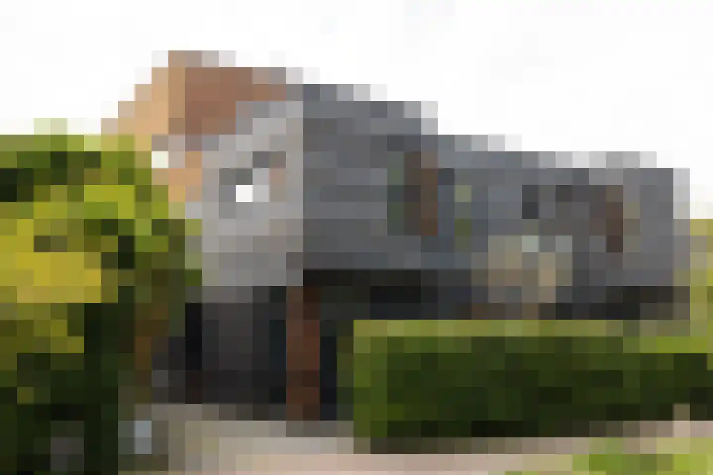 De Slufter 58 Hoofddorp foto 2